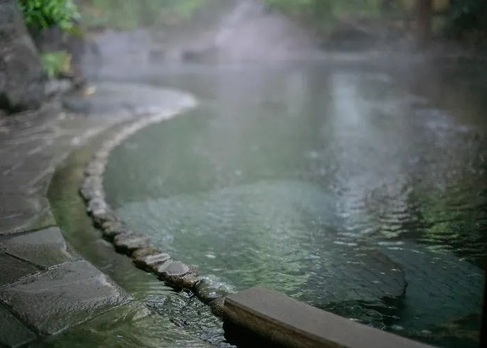 日野春布院温泉日式旅馆